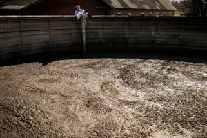 Trods en omfattende og alvorlig krise halter det med støtten fra pengetank, der egentlig var sat i verden for hjælpe.