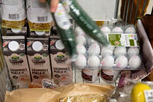 Produktionen af økologisk æg og mælk er steget markant. Foto: Finn Frandsen