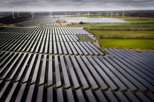 2022 slår alle rekorder når det gælder ny grøn strøm fra solcelleparker, mens udbygningen forventes halveret de kommende år. En voldsom god nyhed, siger professor, mens industrien mener, nye regler bremser grøn omstilling.